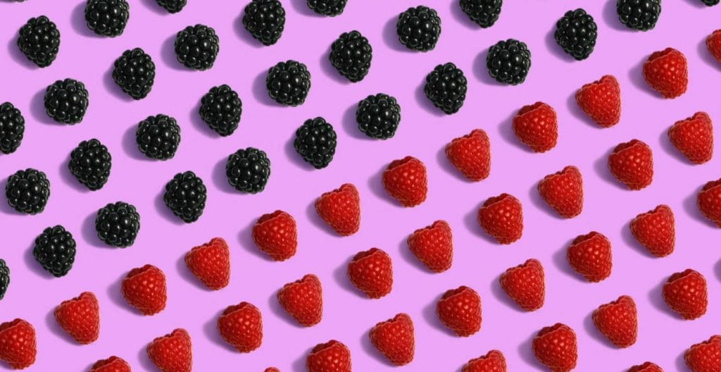 raspberries and blackberries split across image as proxy for elements of a landing page usp
