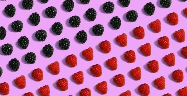 raspberries and blackberries split across image as proxy for elements of a landing page usp